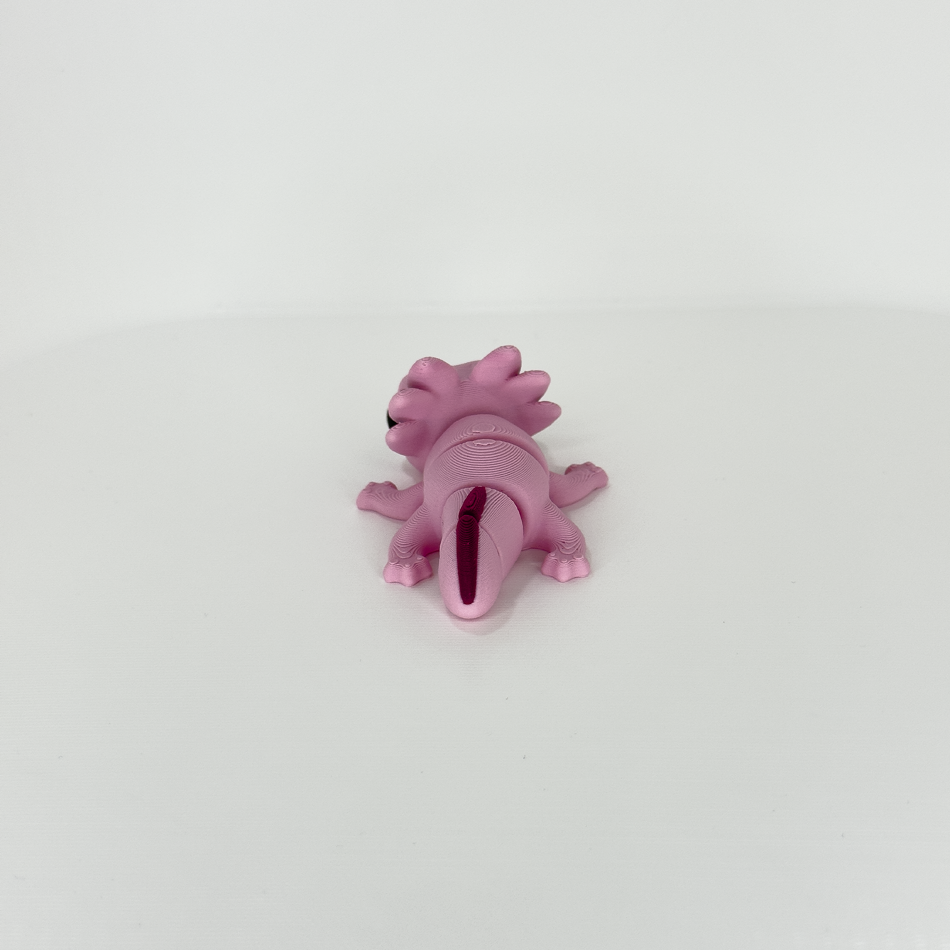 Axolotl Rosa